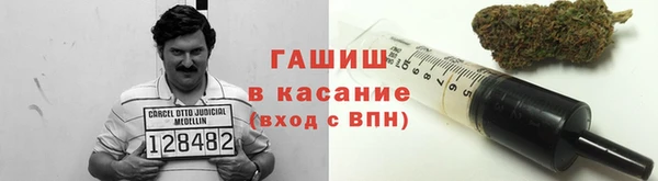прущие грибы Володарск