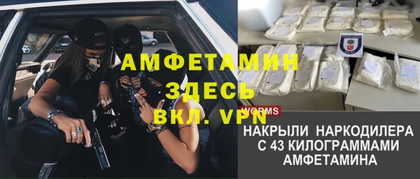 прущие грибы Володарск
