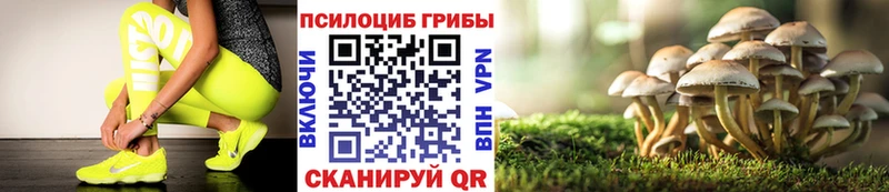 мега ТОР  Ижевск  Псилоцибиновые грибы ЛСД 